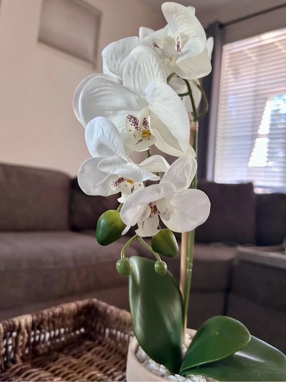 Artificial Phalaenopsis Moth Orchids In Decorative White Pot
